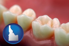 idaho map icon and teeth and gums