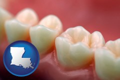 louisiana map icon and teeth and gums