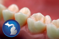 michigan map icon and teeth and gums