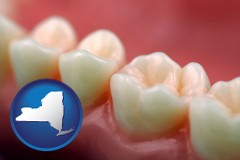 new-york map icon and teeth and gums