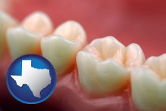 texas map icon and teeth and gums