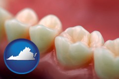 virginia map icon and teeth and gums